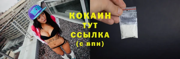 прущий лед Алексин